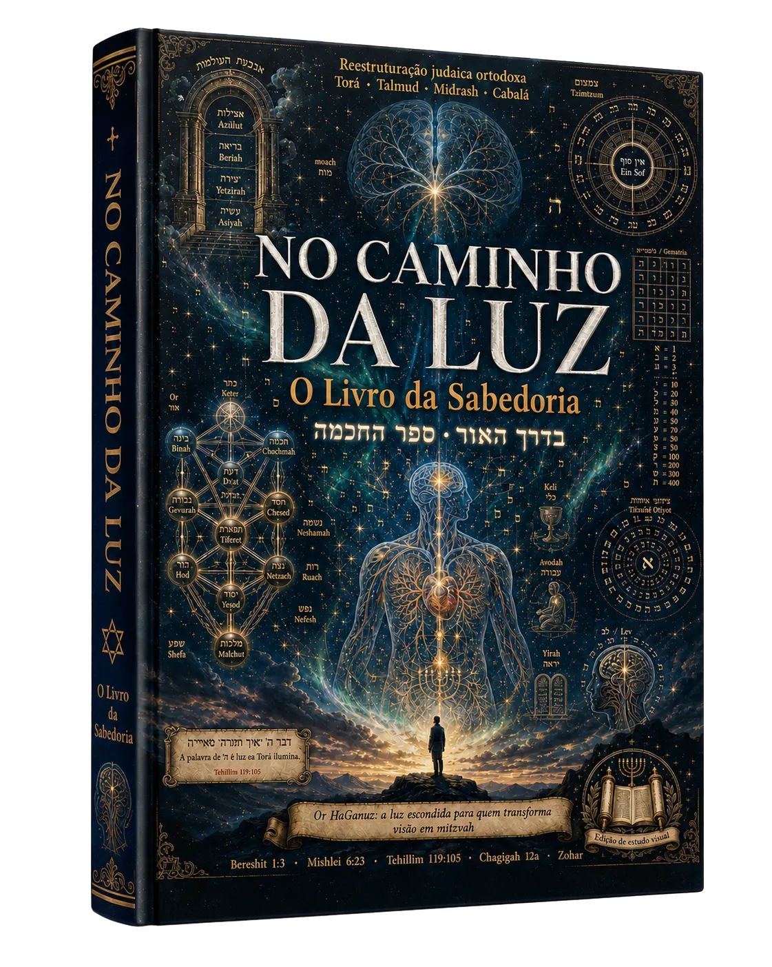 Livro No Caminho da Luz
